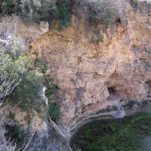 Zona de la cola de caballo
