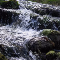 Muela de Cortes