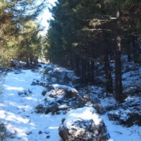 Sierra espunya