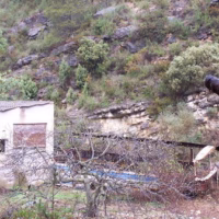 Corral de Senent