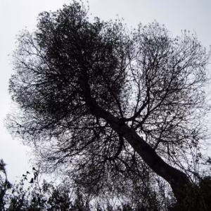 Ascension al Monduver