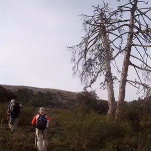 Calar del Mundo