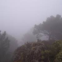 Sendero hacia la cumbre del Monduver