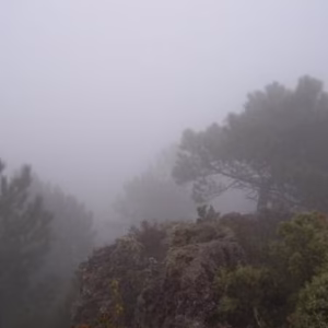 Sendero hacia la cumbre del Monduver