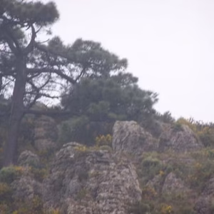 Cumbre del Monduver