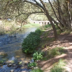 Camping junto al Rio Mundo