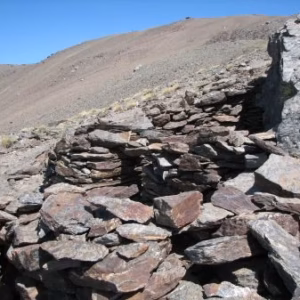 Veleta