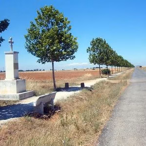 Camino hacia El Burgo Ranero