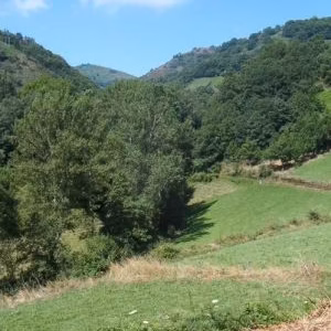 Subida al O Cebreiro 1