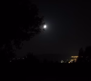 Luna