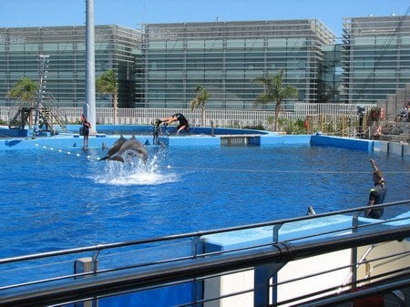 L'Oceanografic 2