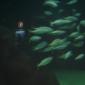 176-oceanos