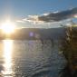 43-albufera