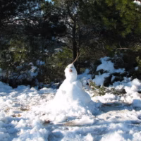 Besori nevado