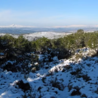 P03 besori nevado