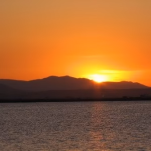 Albufera al atarceder