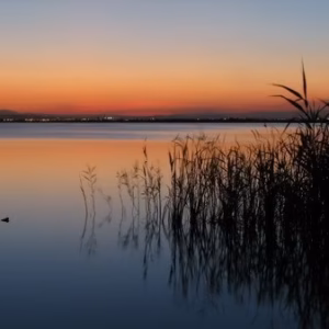 Albufera al atarceder
