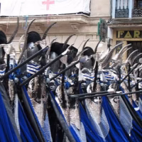 Alcoi