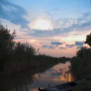 Campos arroz albufera