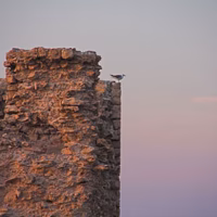 Salinas