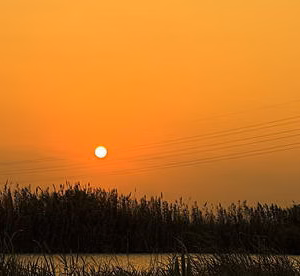 Albufera massanasa