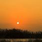 11-albufera_massanasa