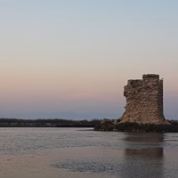 Salinas