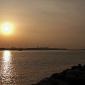 31-Pinedo