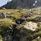 37_panticosa_pirineos