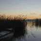 06-amanecer-albufera-silla-paisaje-barca