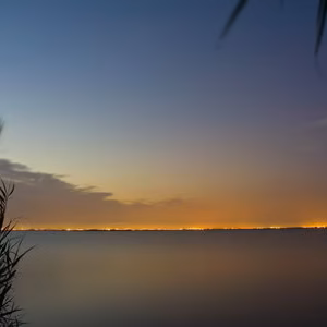 Albufera paisaje nocturna palmar