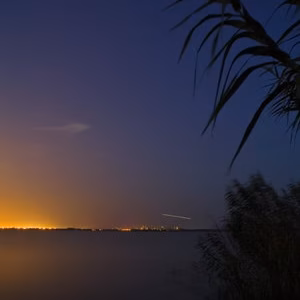 Albufera paisaje nocturna palmar