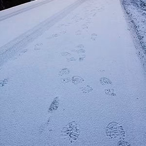 Sagra nieve carretera huella