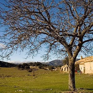Sagra paisaje