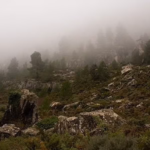 Montcabrer paisaje