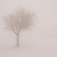 Montcabrer paisaje nieve