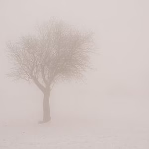 Montcabrer paisaje nieve