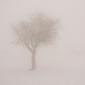 15-montcabrer-paisaje-nieve