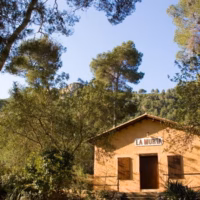 Murta caseta