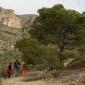 05_-_serra_crevillent_paisaje_acclivis_pi_alivi_arbol