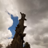 Penyagolosa arbol