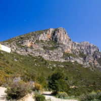 Murta senyales paisaje