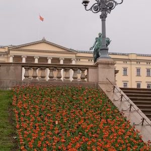 Escandinavia viaje oslo urbana palacio real