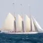 43_-_america_cup_copa_mar_barco