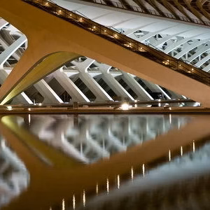 Cac ciudad artes ciencias museo ciencias principe felipe nocturna urbano valencia