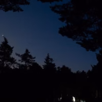 Arboles estrellas nocturna penyagolosa