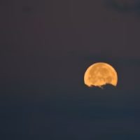 Luna penyagolosa