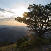 Amanecer arboles paisaje penyagolosa