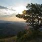 27_-_amanecer_arboles_paisaje_penyagolosa
