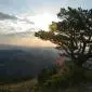 27_-_amanecer_arboles_paisaje_penyagolosa